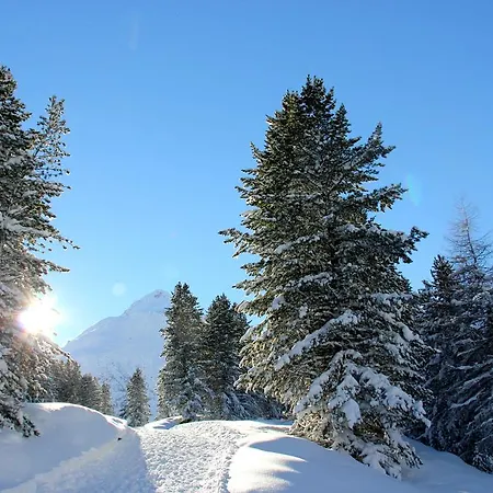 بيت ضيافة Garni Stefani 3*