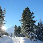 Pensión Garni Stefani 3*