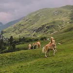 Garni Stefani 3* Vent
