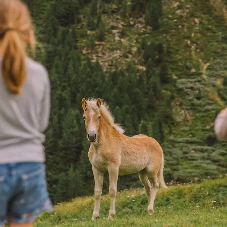 Garni Stefani Pensión Vent